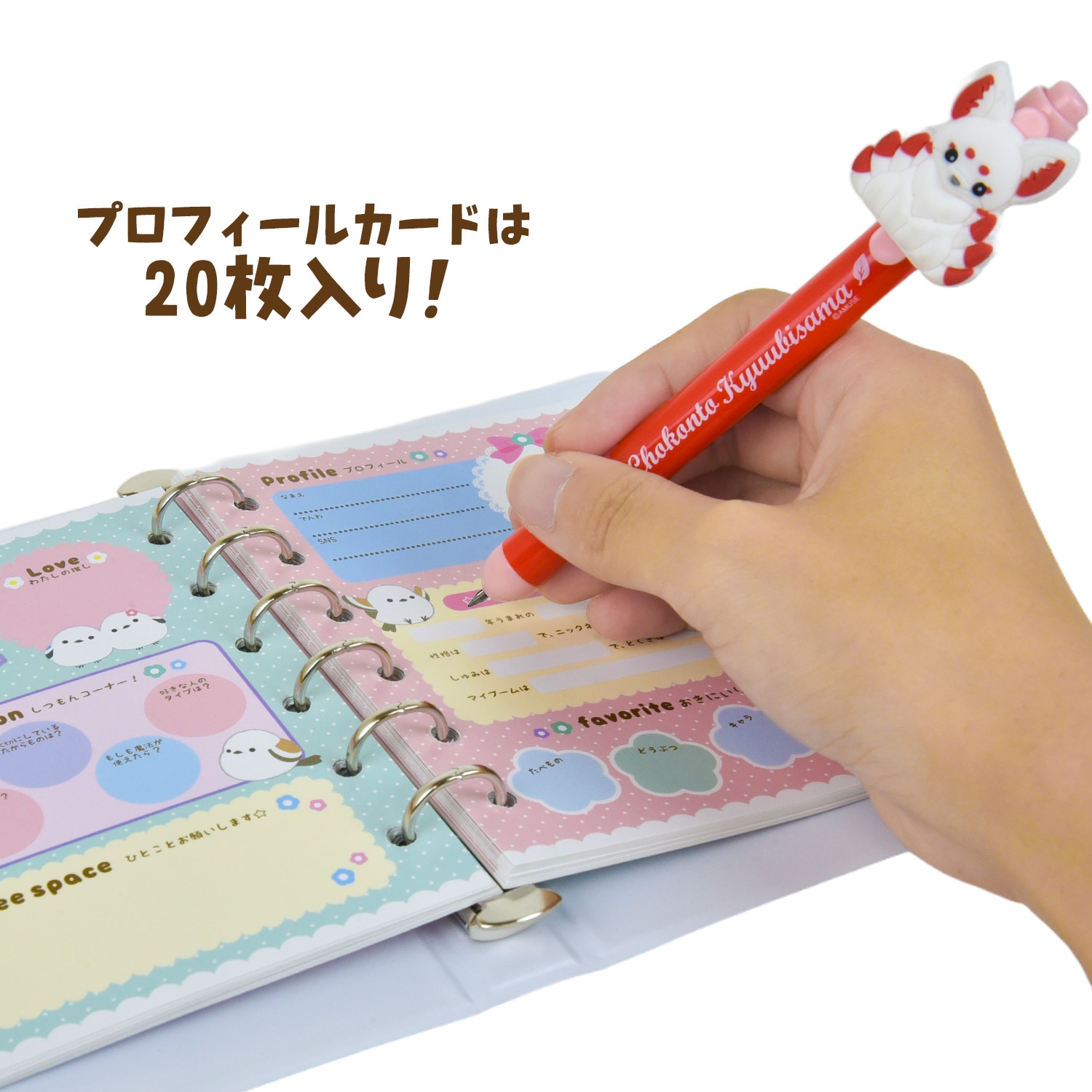 組み合わせ自由！】アミュキャラなかよしプロフィール帳＆ゲル