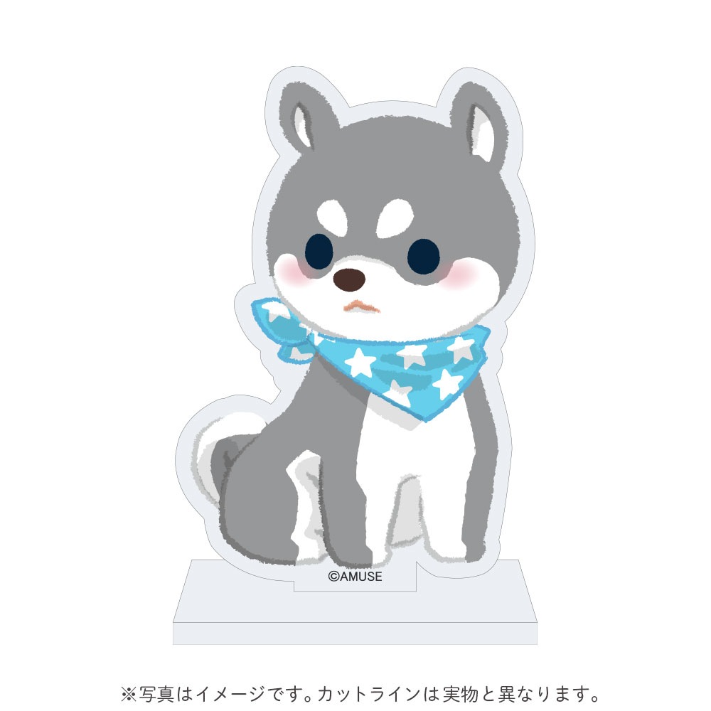 【オンライン限定】さすけさんぽ3周年記念アクリルスタンド(タイガ):574488