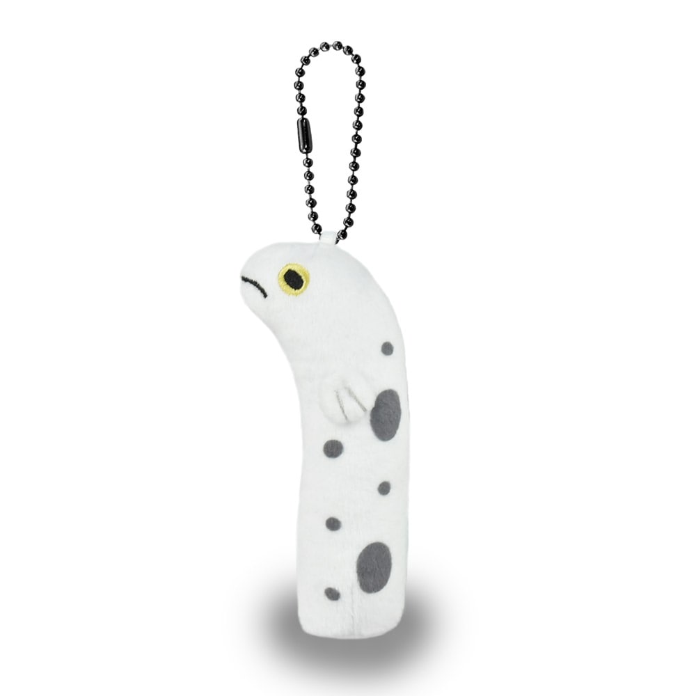 にょろりんチンアナゴBC チンアナゴ /Nyororin Chinanago BC Spotted garden eel:703356