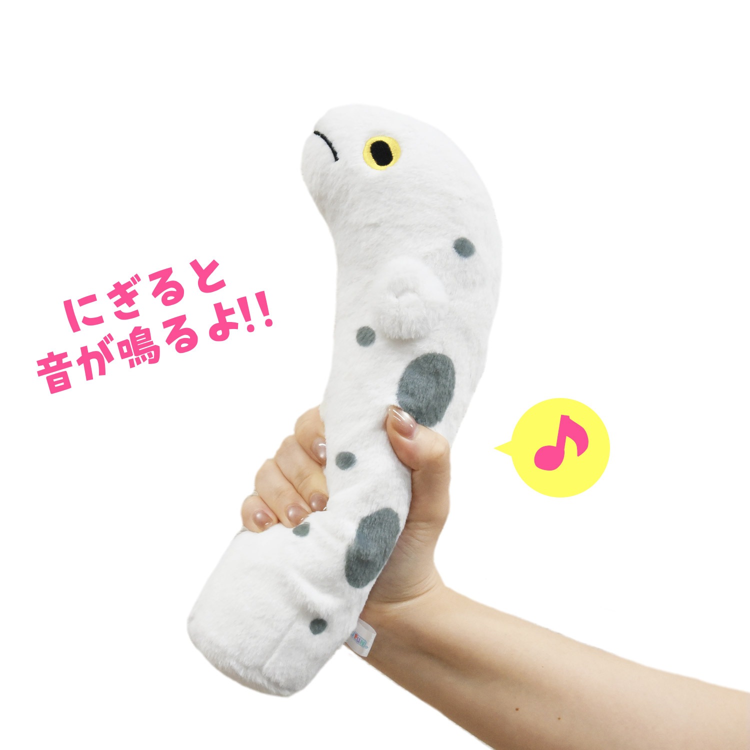 プープーマリン チンアナゴ /Poopoo marine Spotted garden eel:705586