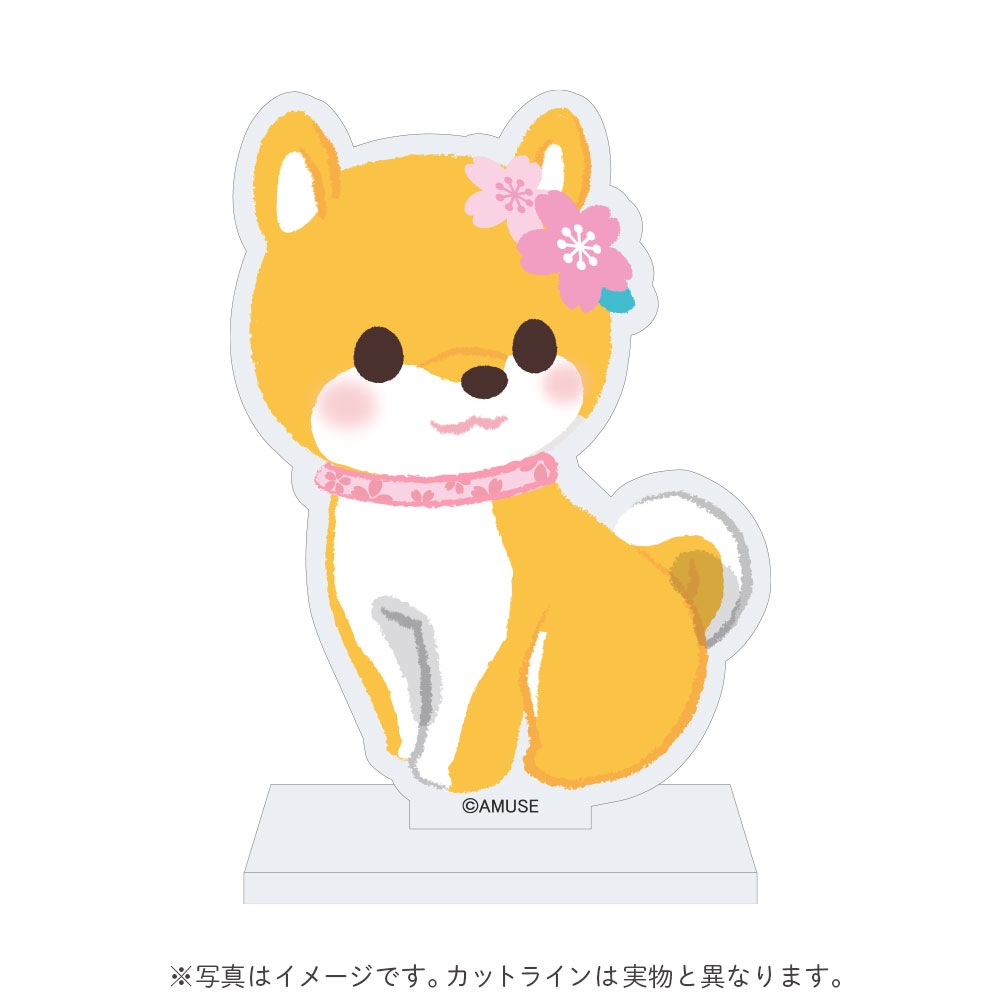 【オンライン限定】さすけさんぽ3周年記念アクリルスタンド(さくら)：574492