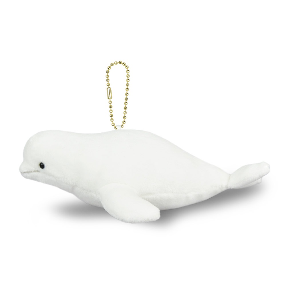 イルカぬいぐるみwith味しらべ 61v6qZFMpUL.jpg_BO30,255,255,