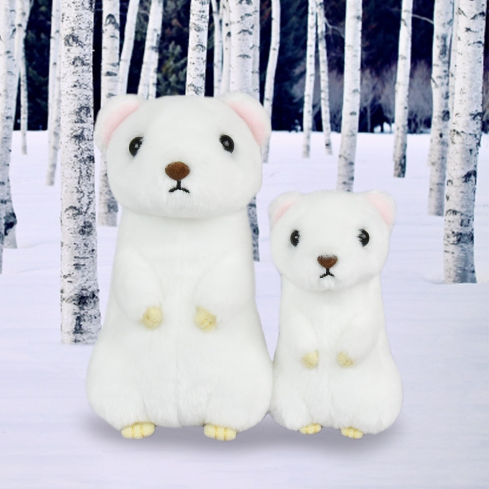 マジョルカNo. 17オオクボ マジョルカNo. 17オオクボ マジョルカ（A）04/05 大久保