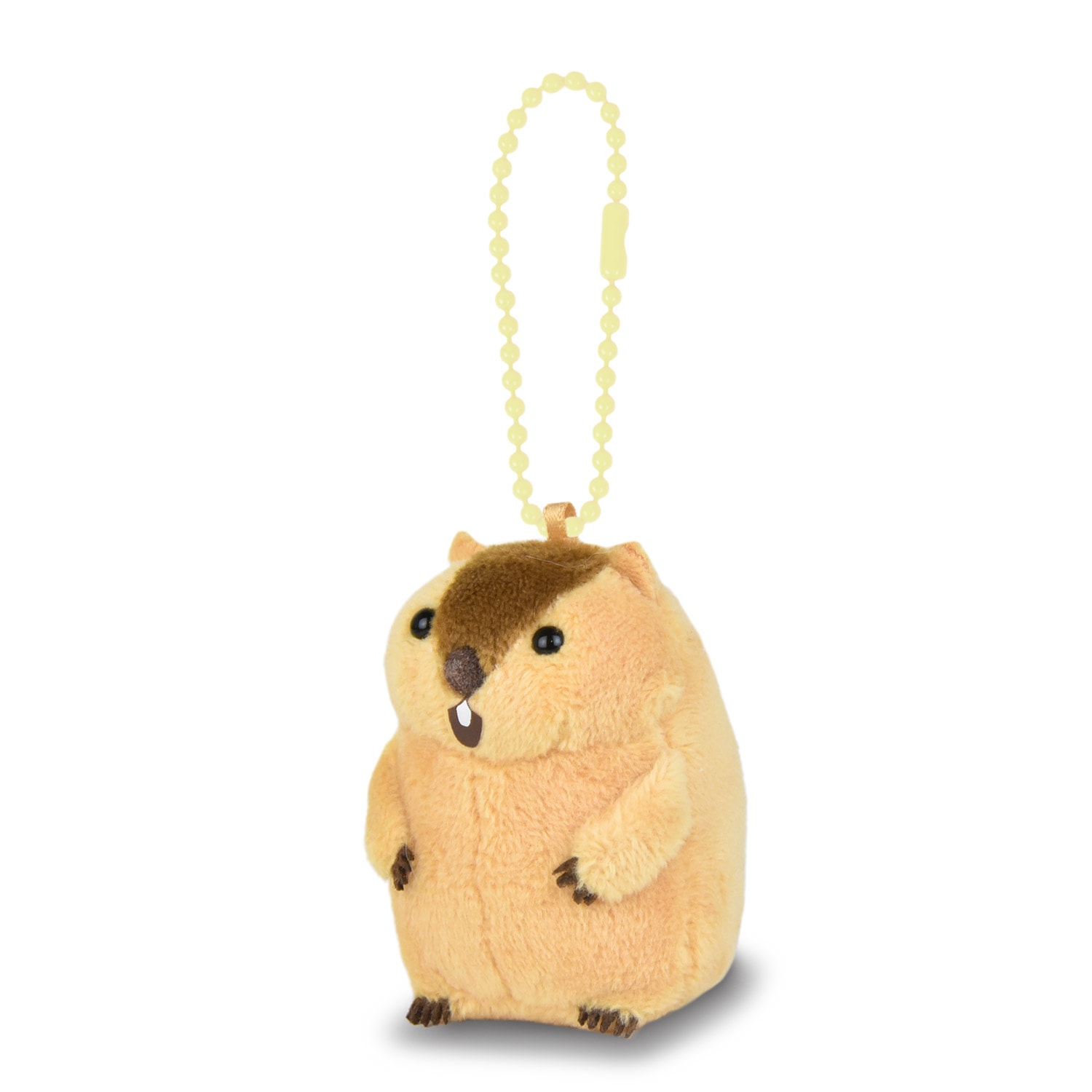 ぷちまるオールスターDXマーモット/Puchimaru all-star DX Marmot:706017