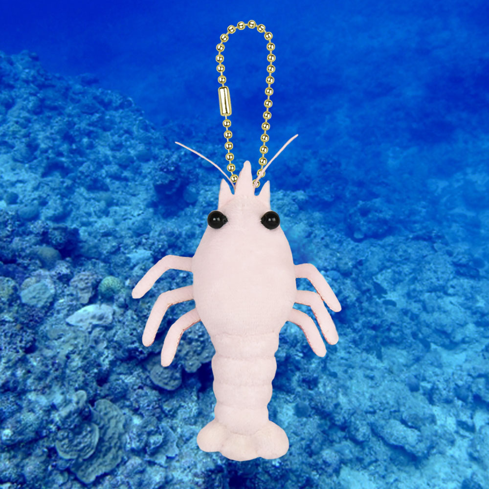 オーシャンワールド白エビVMC / Ocean World Shiroebi VMC:704116
