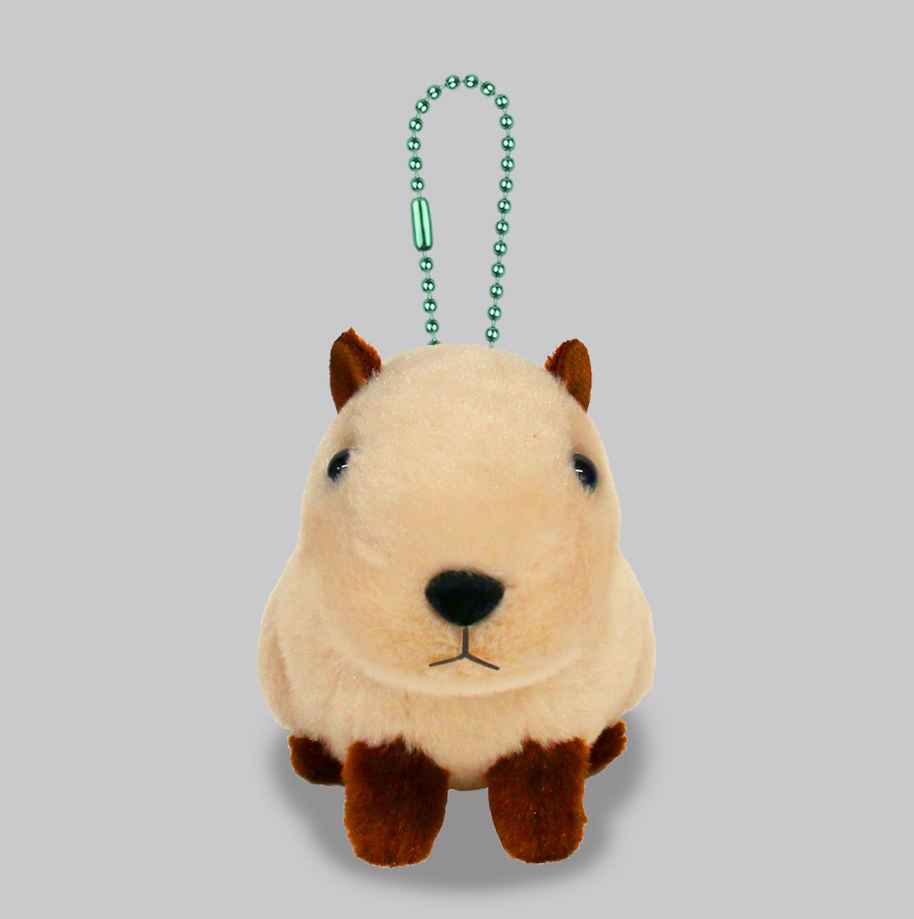 カピバラ 楽天市場】もふっと等身大 カピバラさんもふっと 等身大