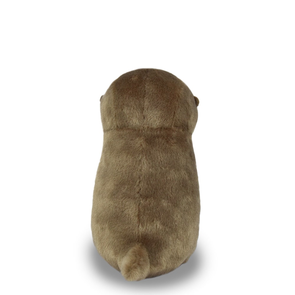 カワウソうそやんST こげチャン/Kawauso Usoyan ST Koge-chan:703502