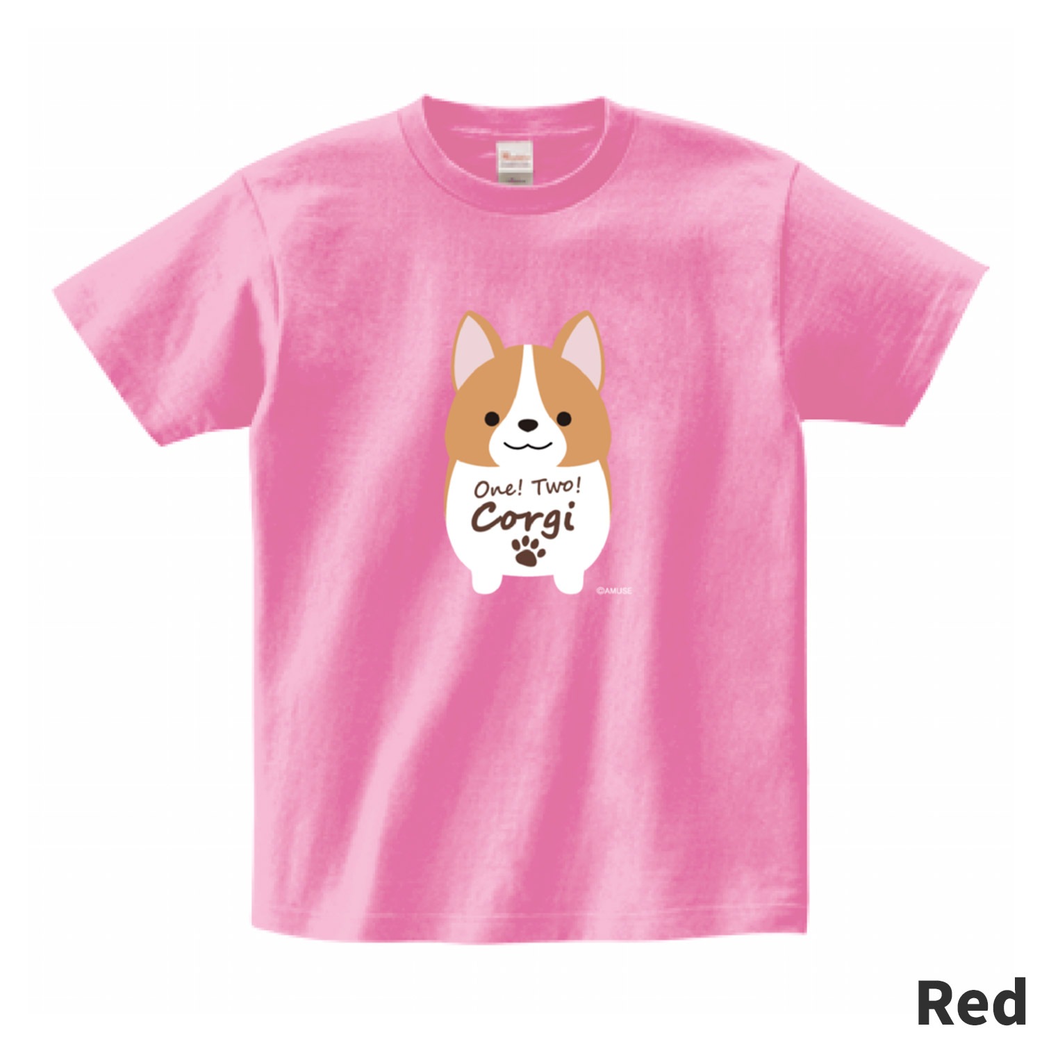 【希少】ジューシークチュール Tシャツ柄 チャーム グリーン ゴールド 犬 箱付 403ef682d4650604a6ab40eb22b331