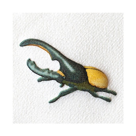 へらぶな 01-aaa_1322.jpg?v=1756519072