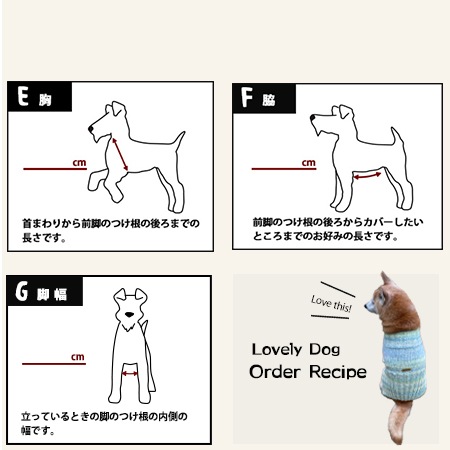 ��֥꡼�ɥå� ���������쥷�ԡ�����ǡ������˥å�