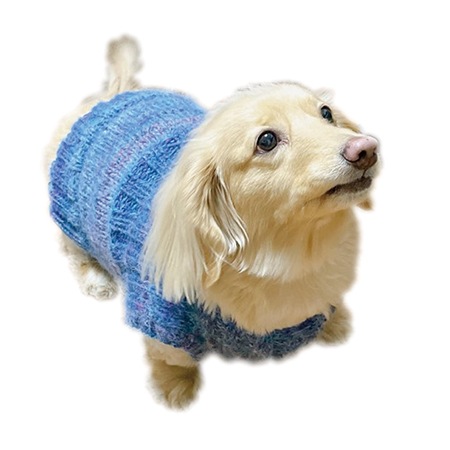 ��֥꡼�ɥå� ���������쥷�ԡ�����ǡ������˥å�