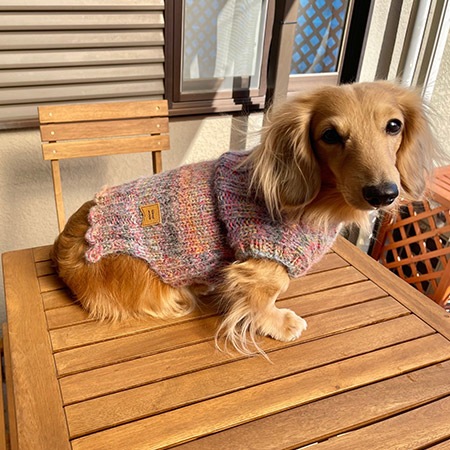 ��֥꡼�ɥå� ���������쥷�ԡ�����ǡ������˥å�