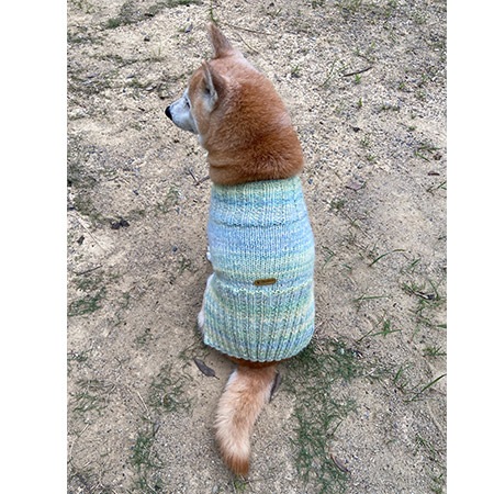 ��֥꡼�ɥå� ���������쥷�ԡ�����ǡ������˥å�