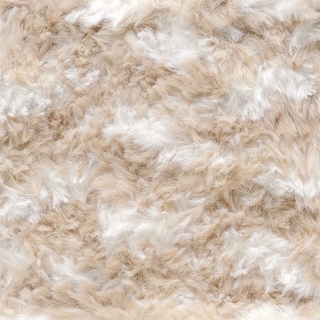 �˥åƥ��󥰥ǥ����С��ϥΥ󡡡�������No.010