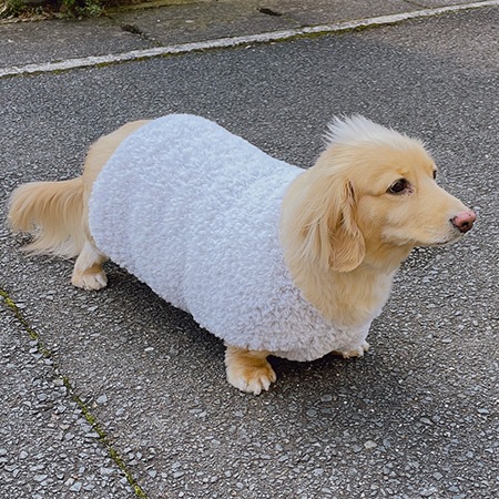 ��֥꡼�ɥå� ���������쥷�ԡ��դ�դ�˥å�