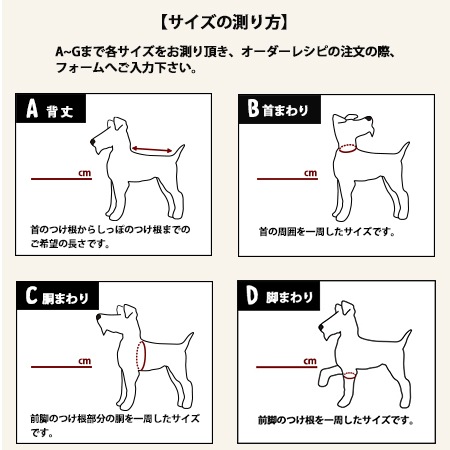 ��֥꡼�ɥå� ���������쥷�ԡ��դ�դ�˥å�