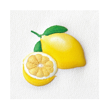 H458-409 ふくらむワッペン 2枚入り レモン - ハマナカ商店