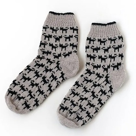 381��ǭ���Υ��å��������ȥ��Х����å�