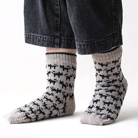 381��ǭ���Υ��å��������ȥ��Х����å�