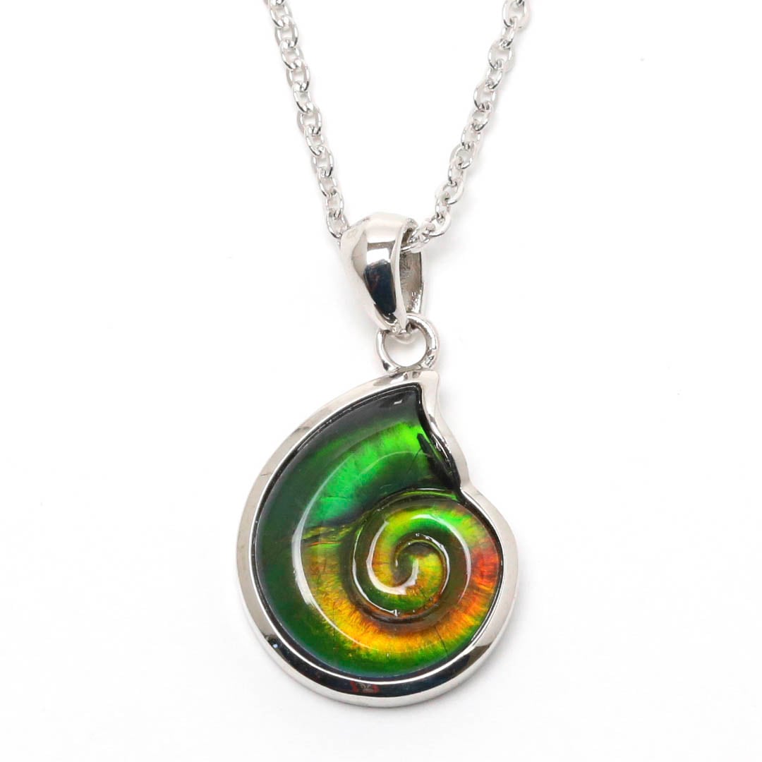 限定1個】アンモライト アンモナイト型 925SVペンダントトップ ①