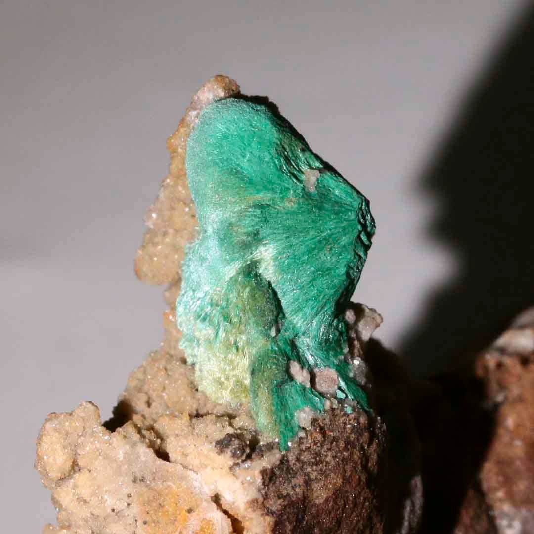 マラカイト（ベルベットタイプ）母岩付き モロッコ産