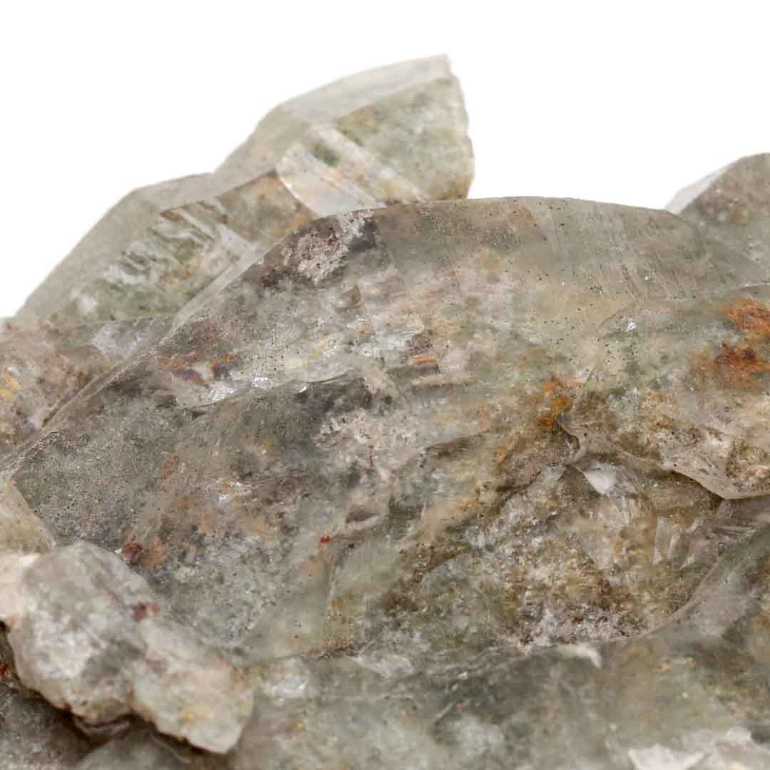 ぽんぽん♪ ヒマラヤクラスター A1168、A1244、A1185 ぽんぽん