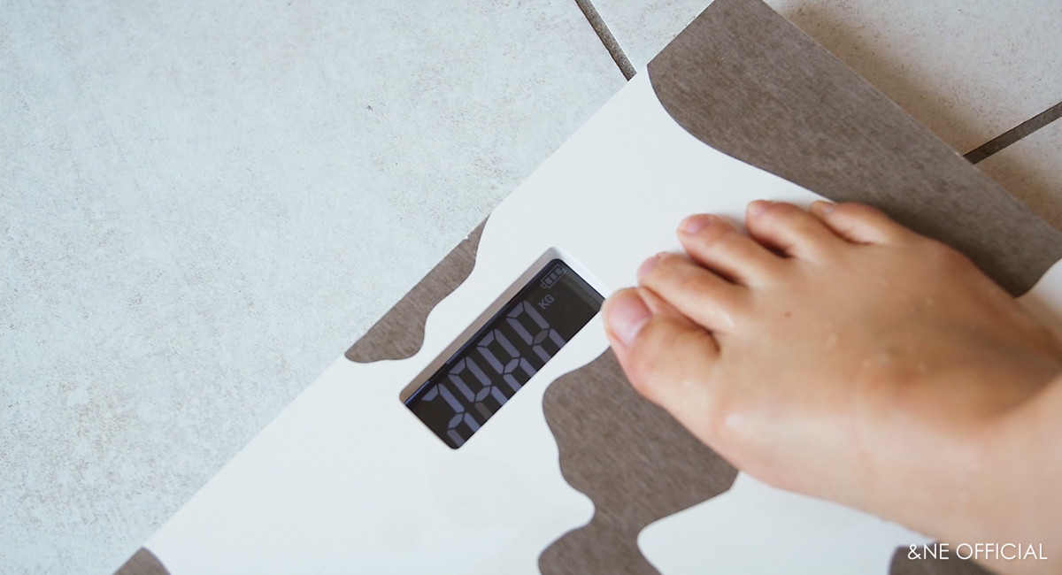 珪藻土ヘルスメーター