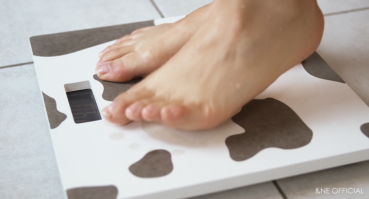 珪藻土ヘルスメーター