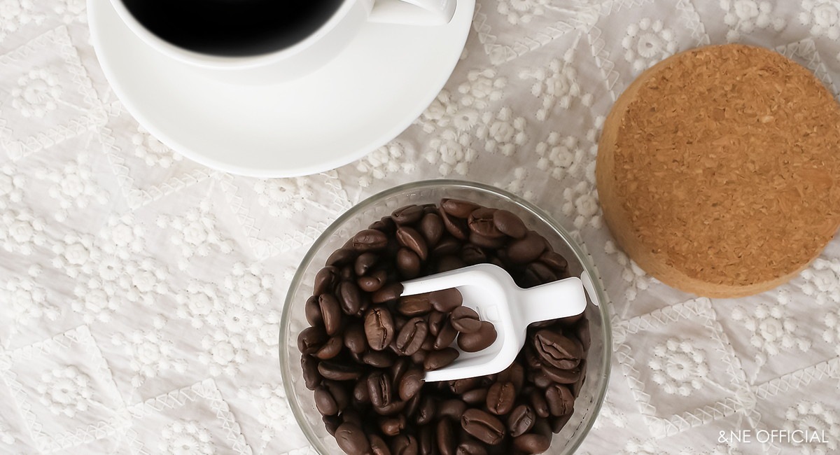 珪藻土ドライスコップ