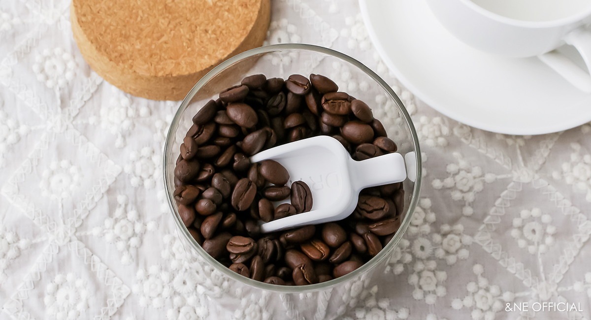 珪藻土ドライスコップ