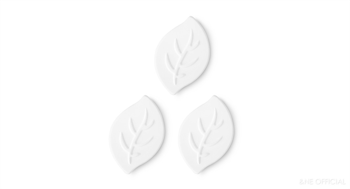 珪藻土ドライモチーフ