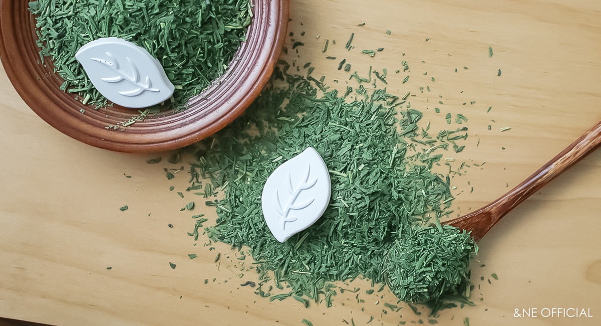 珪藻土ドライモチーフ