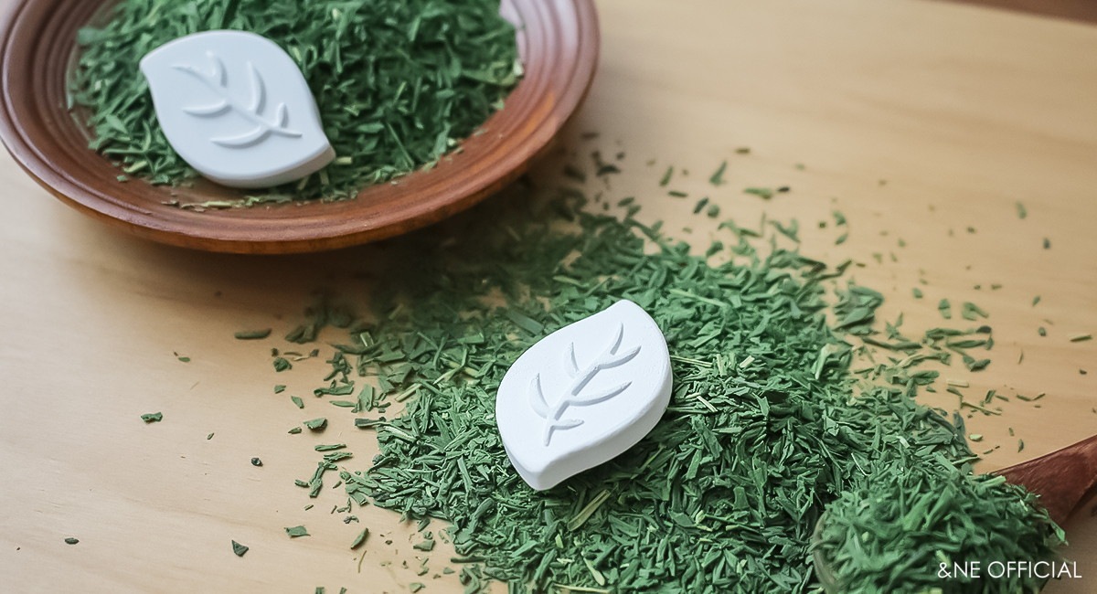 珪藻土ドライモチーフ