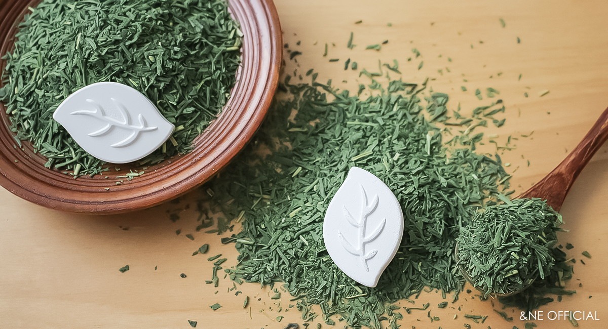 珪藻土ドライモチーフ