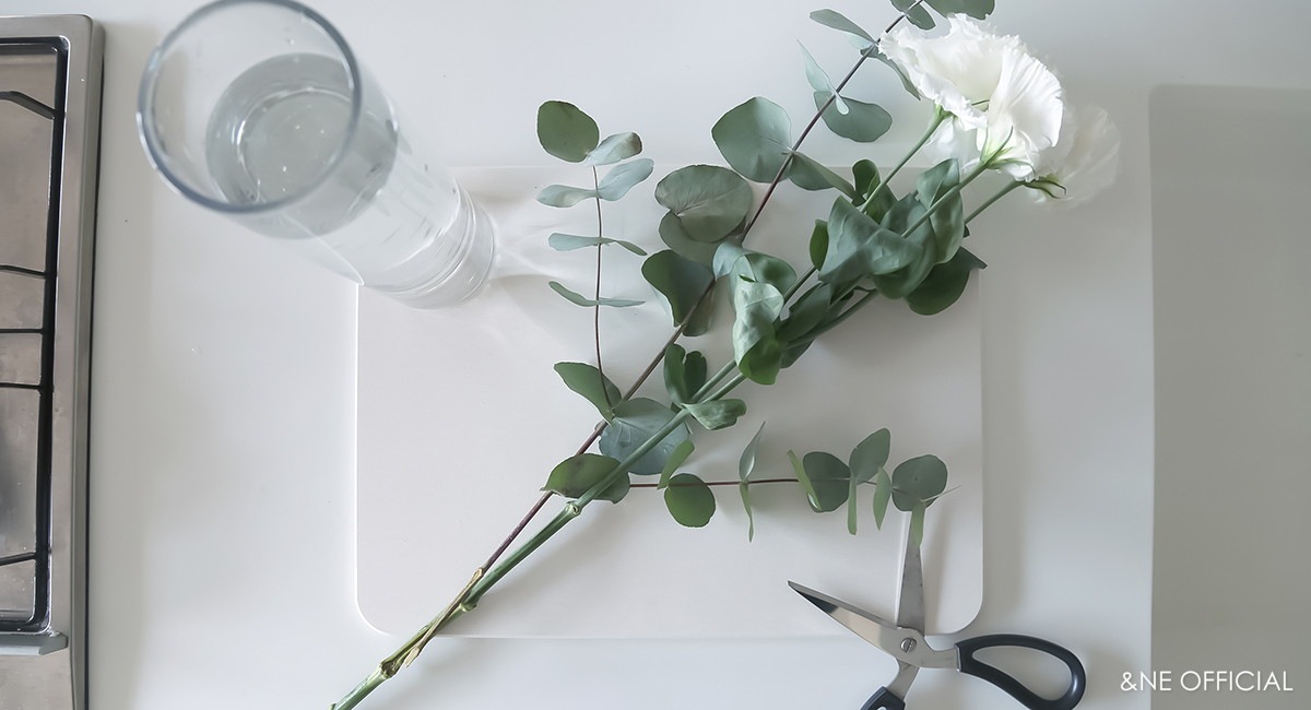 珪藻土ドライボード