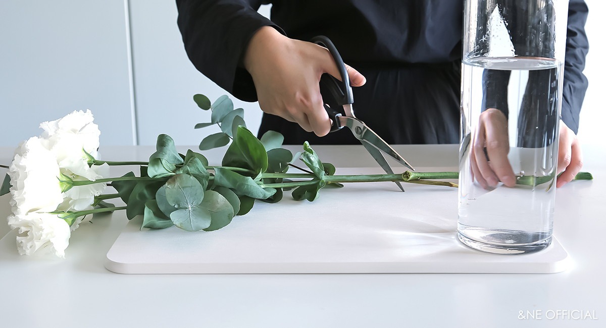 珪藻土ドライボード