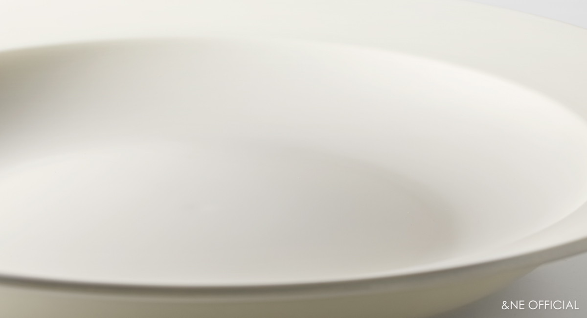 Recopo ヘルシーディーププレート L