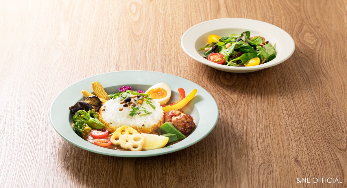 Recopo ヘルシーディーププレート L