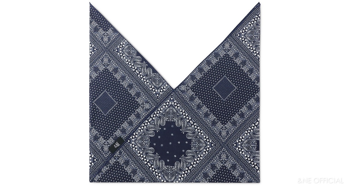 あづま袋  ペイズリー