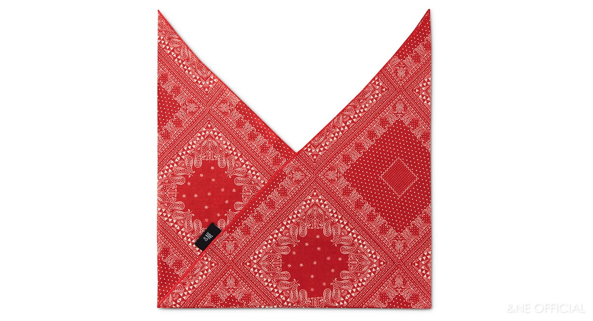 あづま袋  ペイズリー