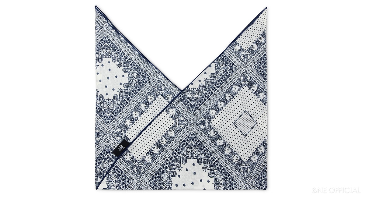 あづま袋  ペイズリー