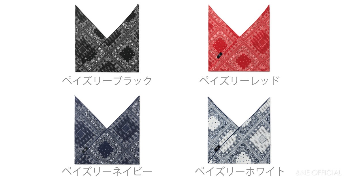 あづま袋  ペイズリー