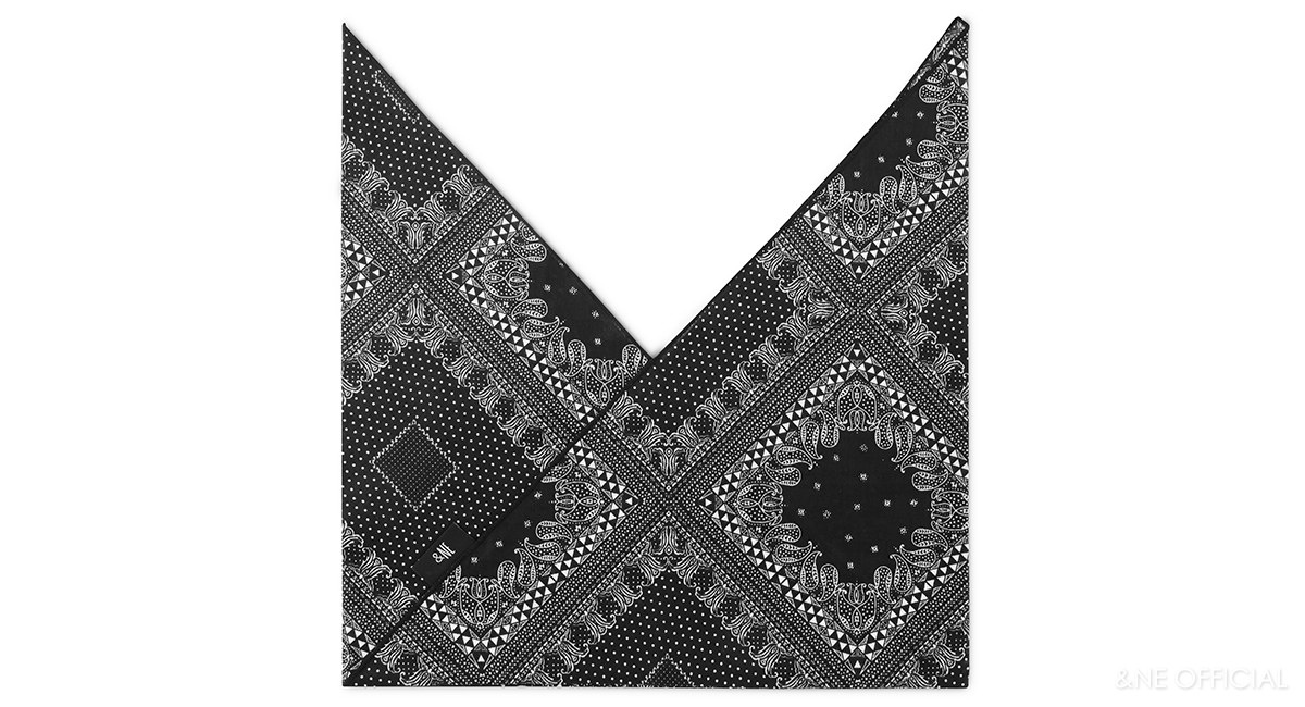 あづま袋  ペイズリー