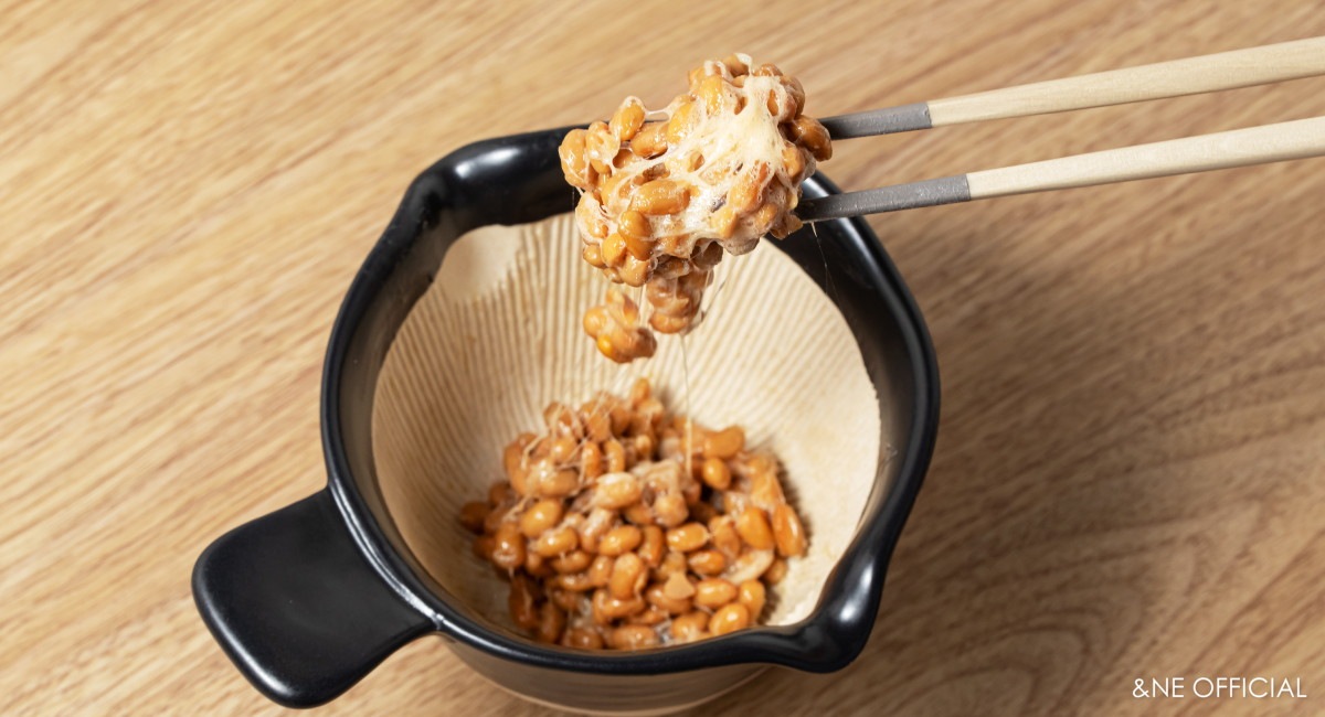 ハレとケ 萬古焼 納豆鉢