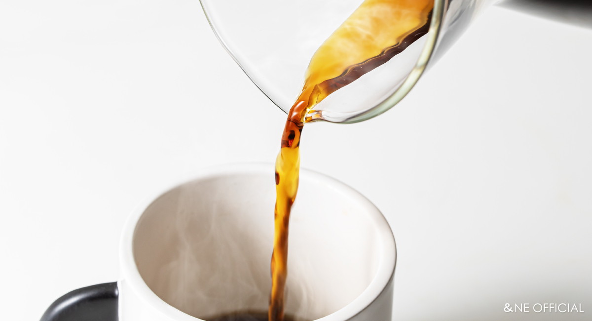 nikii cafe ガラスドリッパー＆サーバー（ステンレスフィルター付き）