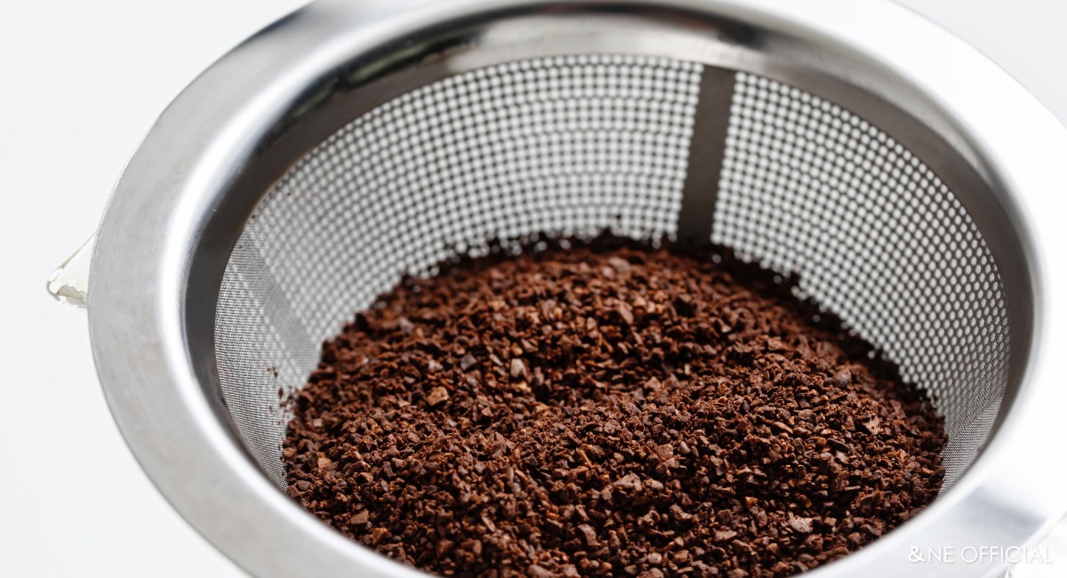 nikii cafe ガラスドリッパー＆サーバー（ステンレスフィルター付き）