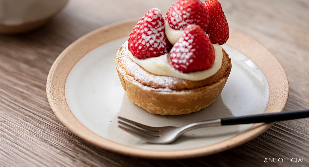 ハレとケ 美濃焼 赤土プレート 15cm