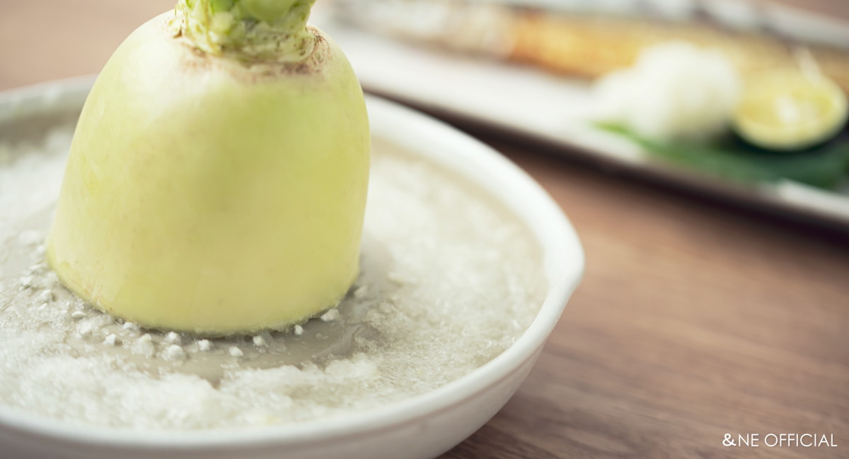 ハレとケ 石見焼 おろし器 大小ギフトセット