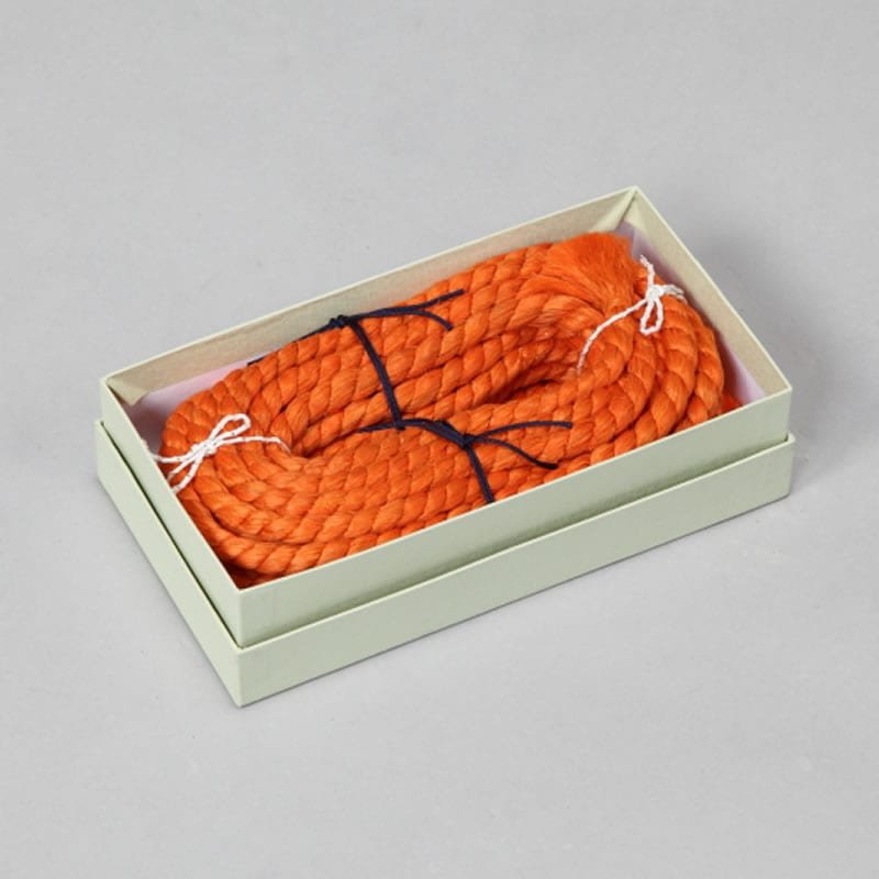 ����������Ĵ