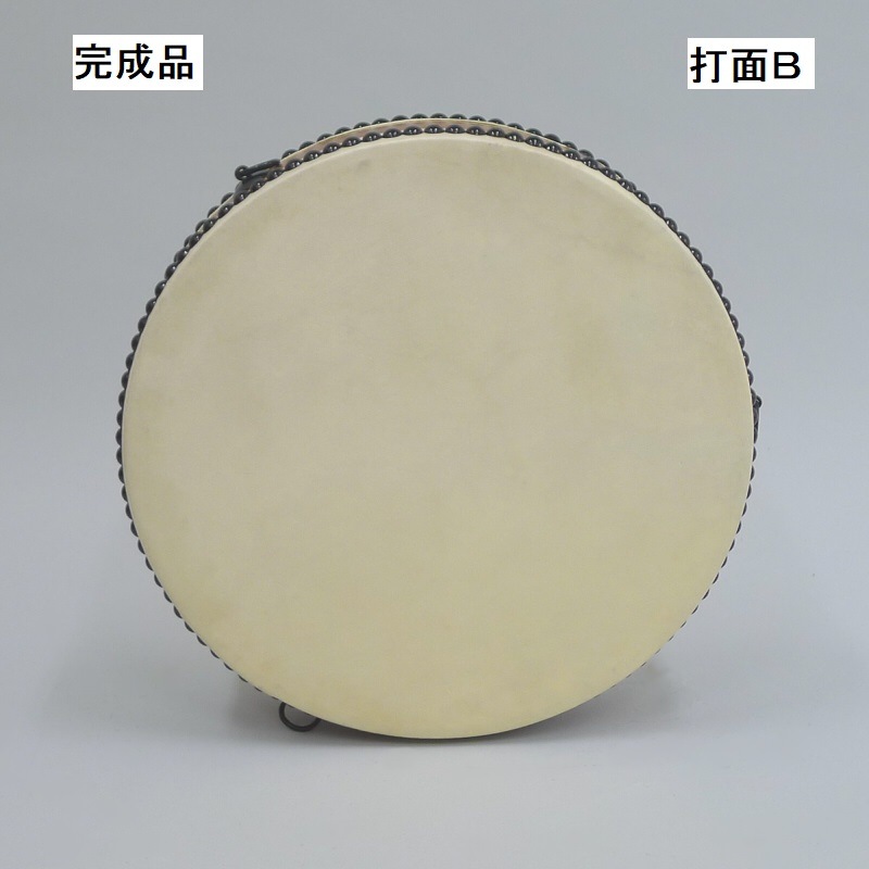 ���ò��ʡɱ�ɥ��꡼���۰�ܻ���ݰ��ʿ������